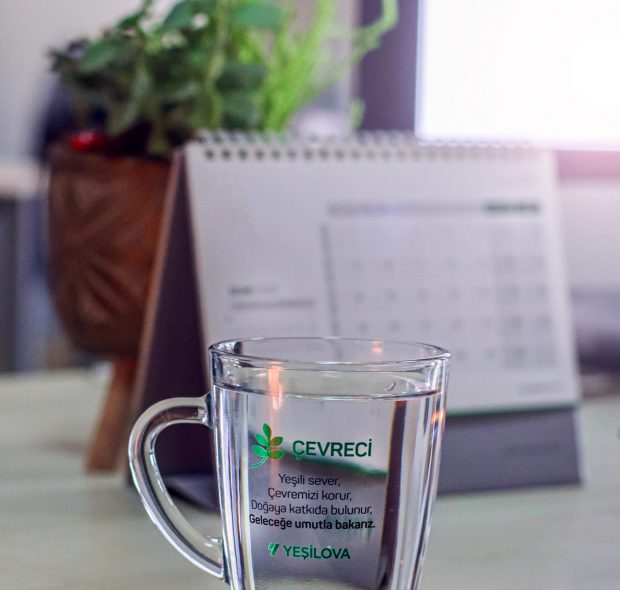 Yesilova_CamBardak-2 Yesilova_CamBardak-2